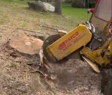 WhatsApp Image 2026-03-10 at 6.32.39 PM